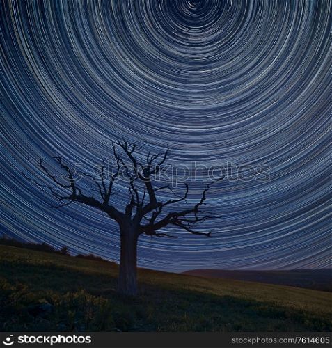 Digital composite image of star trails around Polaris with Beautiful landscape over field of rapeseed in countryside in Spring. Sunrise landscape over rapeseed field in Spring