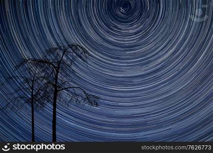 Digital composite image of star trails around Polaris with natural tree silhouettes