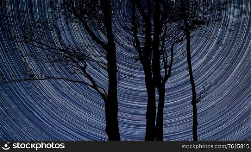 Digital composite image of star trails around Polaris with Stunning bare tree lanscape