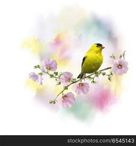 Digital Painting of American Goldfinch (Carduelis tristis), on the flowers. yellow bird watercolor