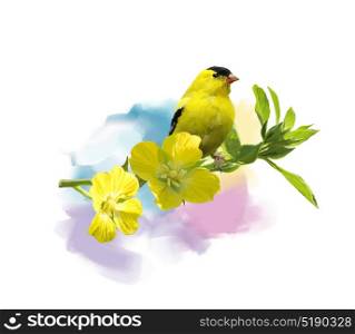 Digital Painting of American Goldfinch with the yellow flowers. American Goldfinch watercolor