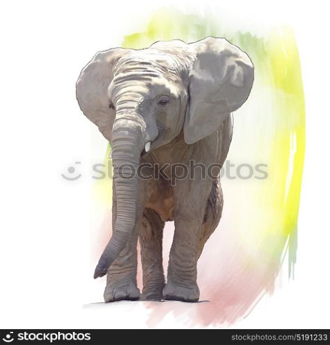 Digital Painting of Baby Elephant . Baby Elephant Watercolor