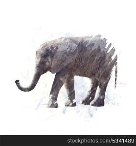 Digital Painting of Baby Elephant . Baby Elephant watercolor