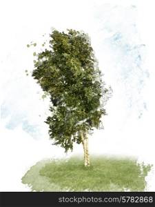 Digital Painting of Birch Tree on White Background