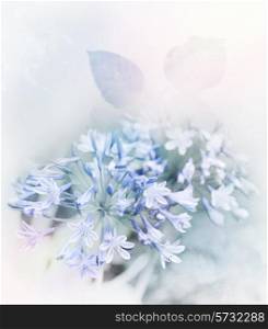 Digital Painting Of Blue Flowers.Soft Focus