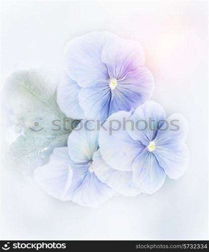 Digital Painting Of Blue Violets Flowers