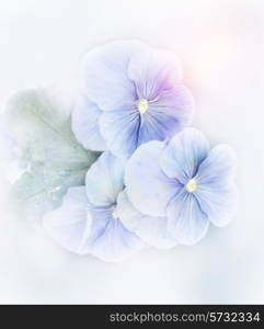 Digital Painting Of Blue Violets Flowers