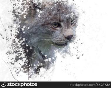 Digital Painting Of Canada Lynx . Canada Lynx watercolor