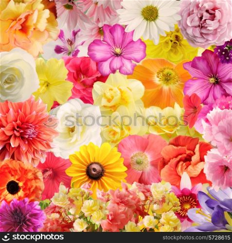 Digital Painting Of Colorful Floral Background