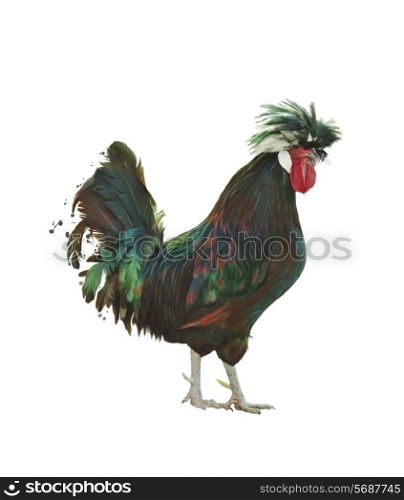 Digital Painting Of Colorful Rooster
