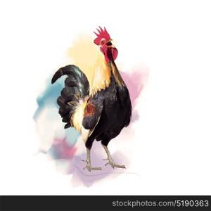 Digital Painting of Crowing Rooster. Crowing Rooster watercolor