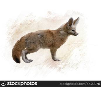 Digital Painting of Fennec Fox. Fennec Fox watercolor