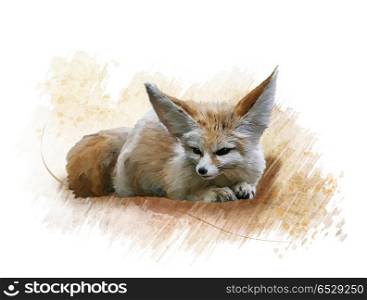 Digital Painting of Fennec Fox resting. Fennec Fox watercolor