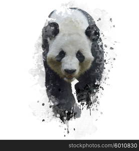 Digital Painting of Giant Panda Bear