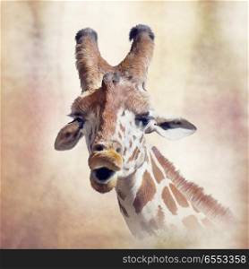 digital painting of giraffe portrait