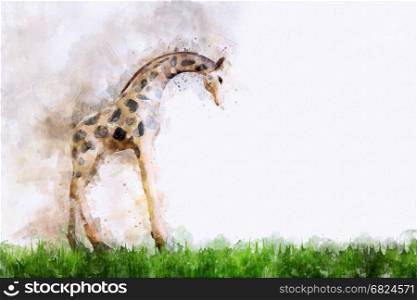 Digital painting of giraffe, watercolor style