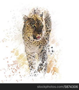 Digital Painting of Leopard on White Background