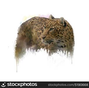 Digital Painting of Leopard on white background. Image of Leopard watercolor