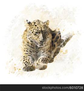 Digital Painting of Leopard Portrait
