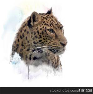 Digital Painting of Leopard Portrait. Leopard Portrait watercolor