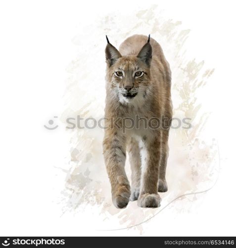 digital painting of lynx portrait. Lynx portrait watercolor