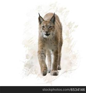 digital painting of lynx portrait. Lynx portrait watercolor