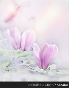 Digital Painting Of Magnolia Flowers