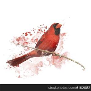 Digital Painting of Male Northern Cardinal Perching on a Branch