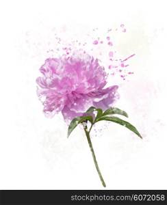 Digital Painting of Peony Flower