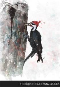 Digital Painting Of Pileated Woodpecker