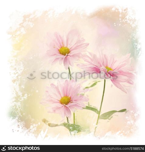 Digital painting of Pink Daisy Flowers. Pink Daisy Flowers watercolor