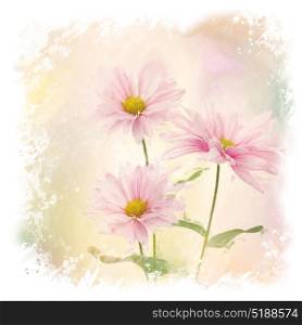 Digital painting of Pink Daisy Flowers. Pink Daisy Flowers watercolor