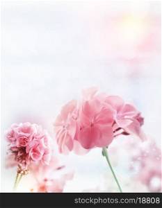 Digital Painting Of Pink Geranium