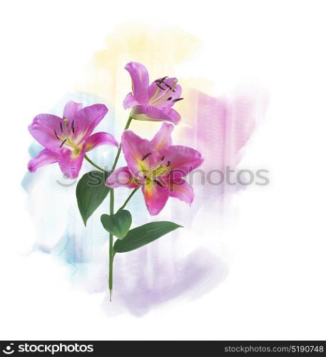 Digital Painting of Pink Lily Flowers. Pink Lily Flowers watercolor