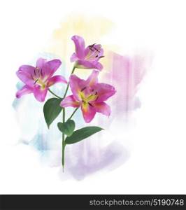 Digital Painting of Pink Lily Flowers. Pink Lily Flowers watercolor