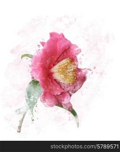 Digital Painting of Pink Rose