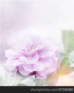 Digital Painting Of Pink Rose.Soft Focus
