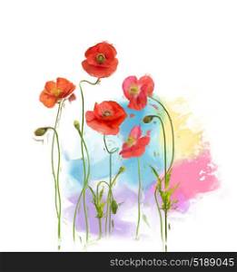 Digital painting of Poppy Flowers. Poppy Flowers painting