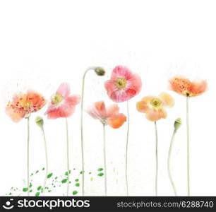 Digital Painting Of Red Poppy Flowers