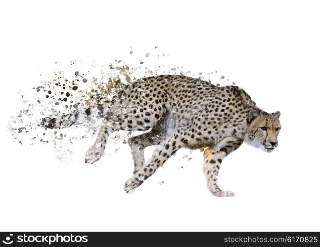 Digital Painting of Running Cheetah