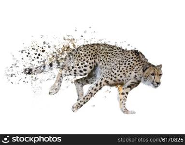 Digital Painting of Running Cheetah