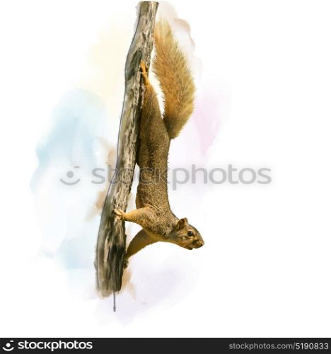 Digital Painting of Squirrel On A Tree. Squirrel On A Tree watercolor