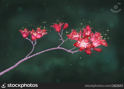 Digital painting of subtle red flowers covered by water drops on dark green background.. Digital Painting of Red Flowers on Green Background