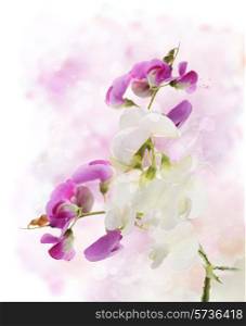 Digital Painting Of Sweet Pea Flowers