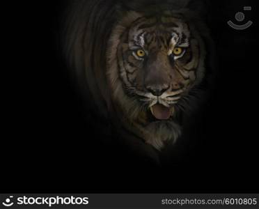 Digital Painting of Tiger ,Close Up