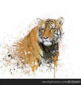 Digital Painting of Tiger Portrait