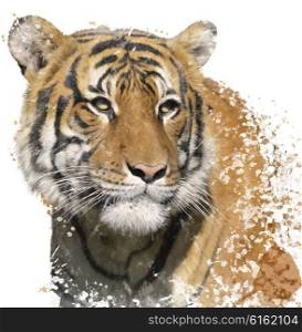 Digital Painting of Tiger Portrait