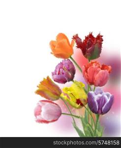 Digital Painting Of Tulip Flowers