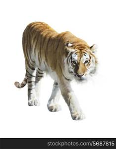 Digital Painting Of Walking Tiger