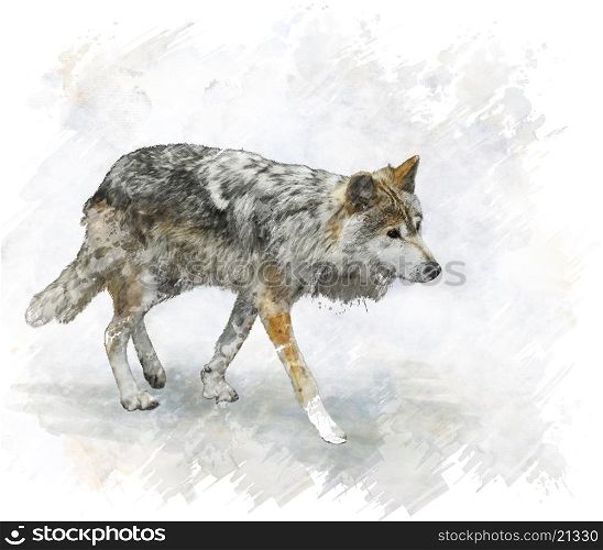 Digital Painting Of Walking Wolf